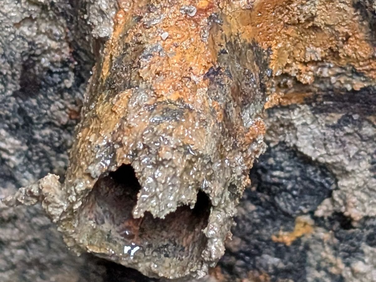 The cut end of a steel water main eaten away by rust and scale, the pipe wall thinned down to almost nothing.